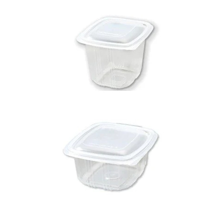 Hinged Plastic Containers- Small, Clear Boxes with Hinged Lids 